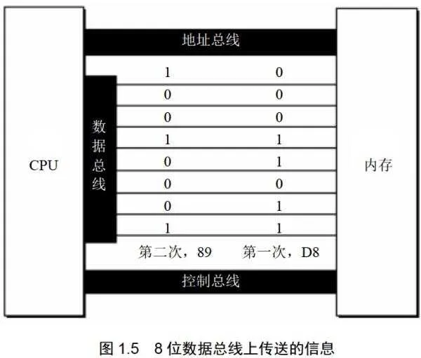 图1.5 8位数据总线上传送的信息