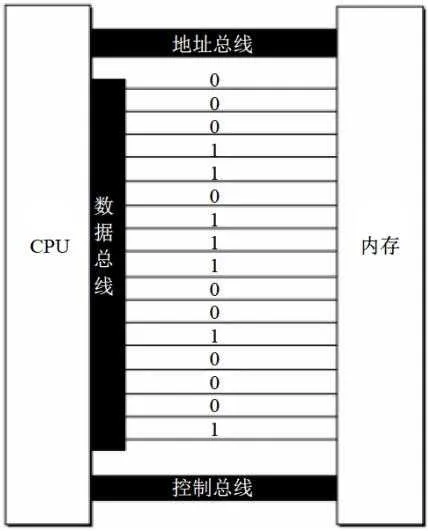 图1.6 16位数据总线上传送的信息